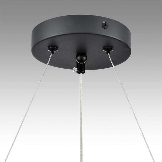 Подвесная люстра Lumion Comfi Luazana 8242/6 Фото № 4