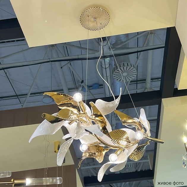 Подвесная люстра Crystal Lux STEFANIA SP6 изображение 4 Подвесная люстра Crystal Lux STEFANIA SP6 Фото № 4