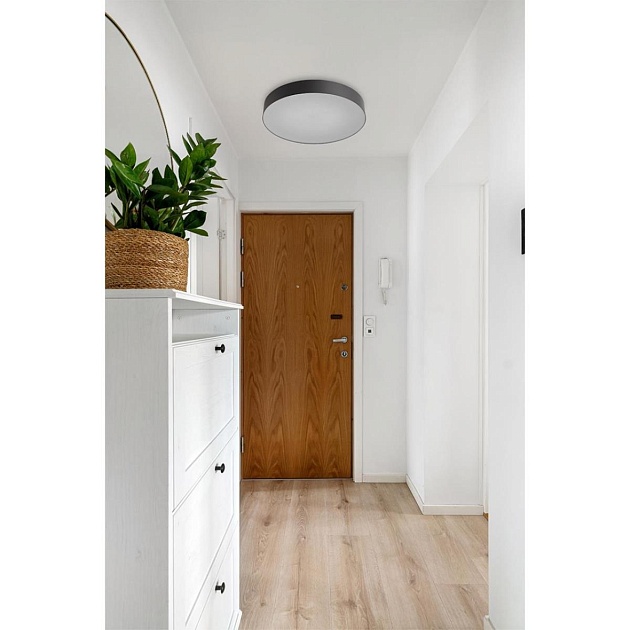 Настенно-потолочный светильник Sonex BASICA 7780/ELN изображение 2 Настенно-потолочный светильник Sonex BASICA 7780/ELN Фото № 2