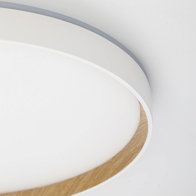 Потолочный светодиодный светильник Citilux Etalon CL750400R Фото № 9