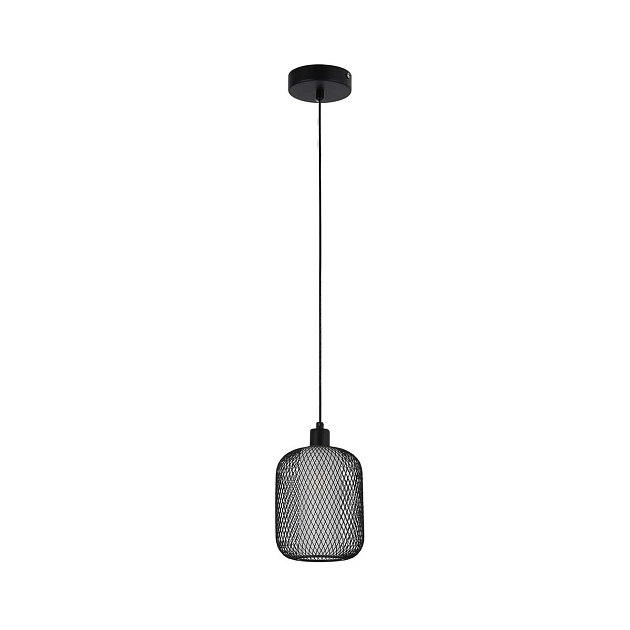 Подвесной светильник F-Promo Tokri 4602-1P Фото № 1