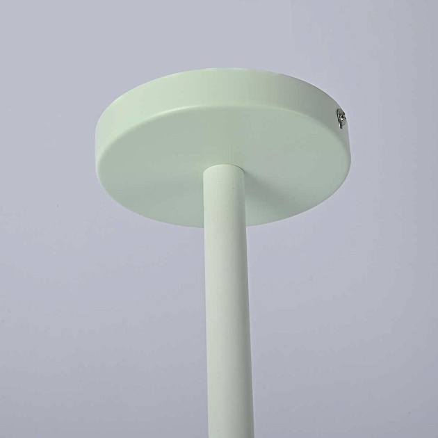 Подвесная люстра Imperium Loft Natura 177991-26 Фото № 11