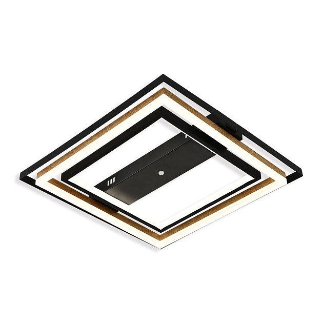 Потолочный светодиодный светильник Escada Lagom 10249/2LED Фото № 4