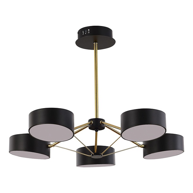 Потолочная светодиодная люстра Evoluce Valle SLE6005-402-05 Фото № 1