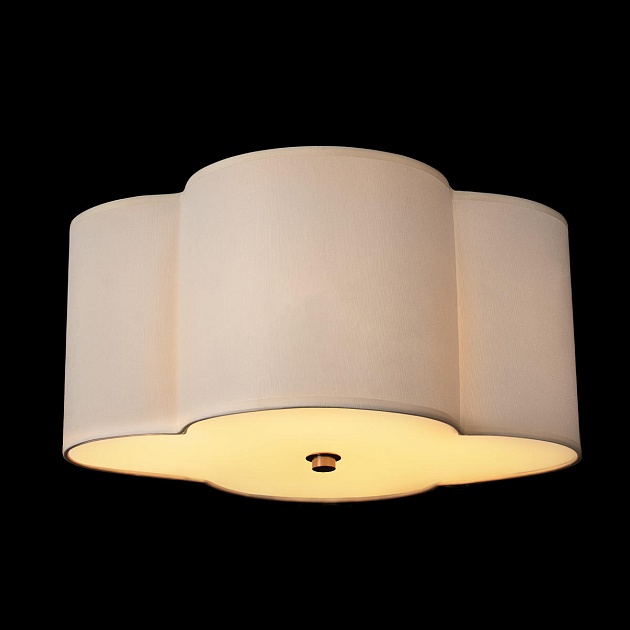 Потолочный светильник Loft IT Silence 10303 Nickel изображение 4 Потолочный светильник Loft IT Silence 10303 Nickel Фото № 4