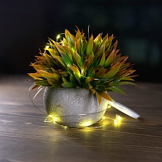 Светодиодная гирлянда Feron CL588 линейная Роса, 2700К, 2м, с питанием от батареек, прозрачный шнур 51439 2