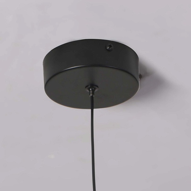 Подвесной светодиодный светильник Favourite Wilet 4656-1P Фото № 3