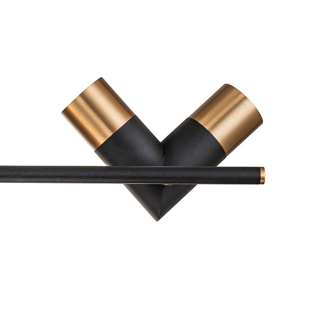 Подвесная люстра Indigo Doppio 11036/8R Black V000453 изображение 2 Подвесная люстра Indigo Doppio 11036/8R Black V000453 Фото № 2