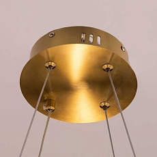 Подвесная светодиодная люстра Citilux Рианна CL337043 3