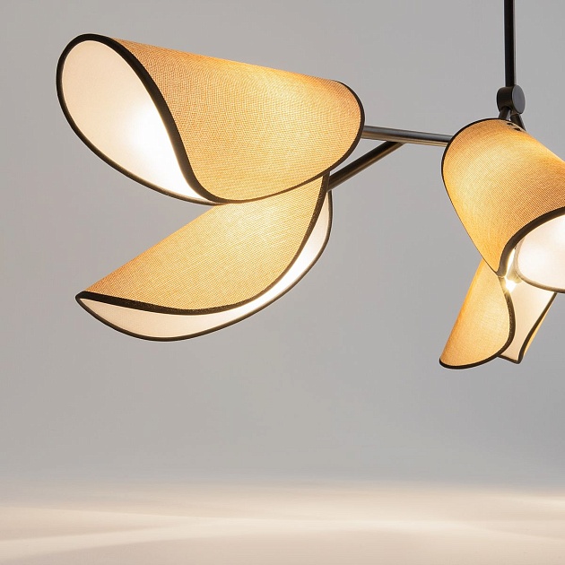 Подвесная люстра Maytoni Organic MOD225PL-06B Фото № 4