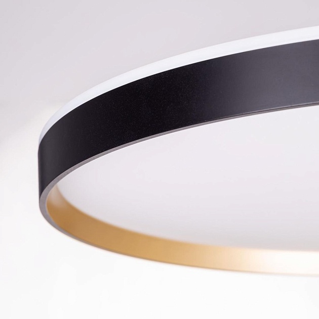 Светильник с пультом Citilux ETALON CL750501R Фото № 9