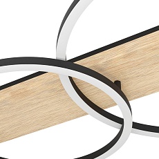 Потолочный светодиодный светильник Eglo Boyal 901716 1