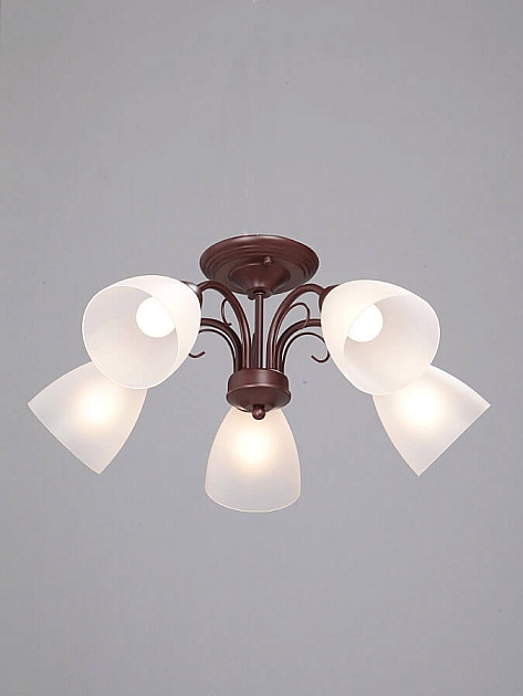 Потолочная люстра Vitaluce V3499/5PL изображение 2 Потолочная люстра Vitaluce V3499/5PL Фото № 2