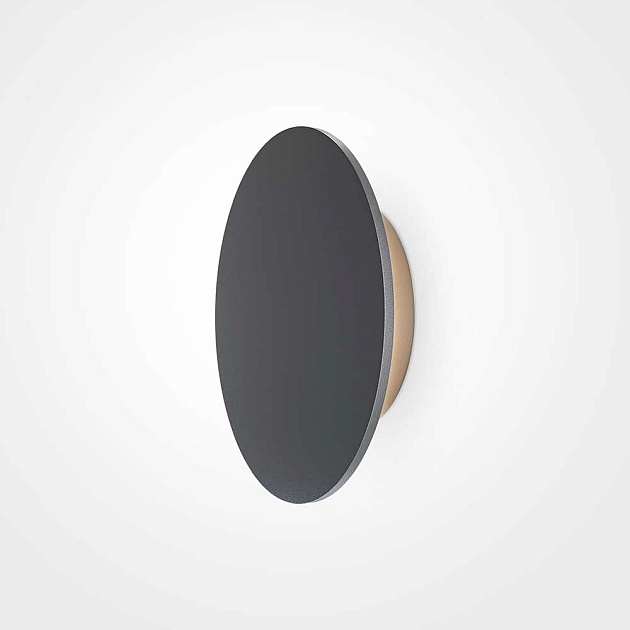 Уличный настенный светодиодный светильник Maytoni Wald O420WL-L12GF Фото № 3