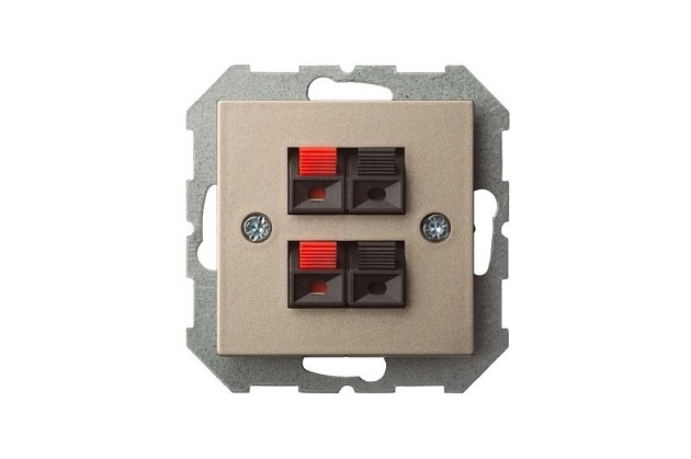 Аудиорозетка двойная Liregus Epsilon шампань 28-3241 Фото № 2