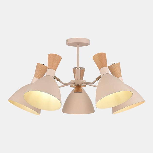 Потолочная люстра Evoluce Vista SLE1256-502-05 Фото № 1