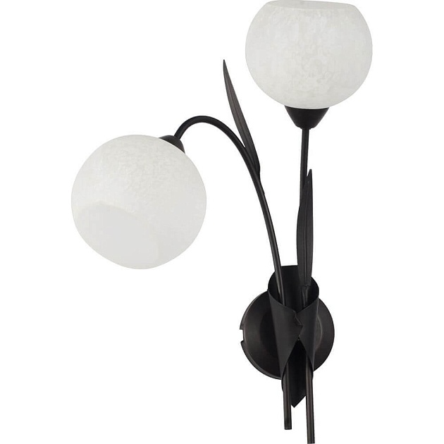 Бра Lussole Bagheria LSF-6291-02 изображение 1 Бра Lussole Bagheria LSF-6291-02 Фото № 1