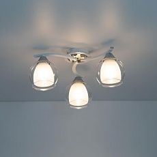 Потолочная люстра Citilux Кристи CL152130 2