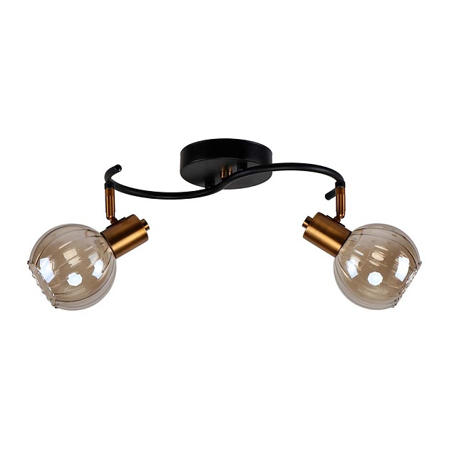 Спот ЭкономСвет 20785/2GD+BK BR Фото № 1