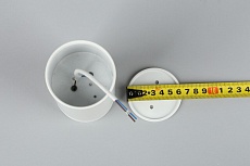 Потолочный светильник Omnilux Olona OML-100809-01 2