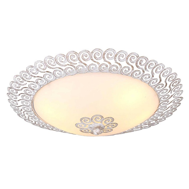 Потолочный светильник Arte Lamp Fleece A4554PL-2WG Фото № 1